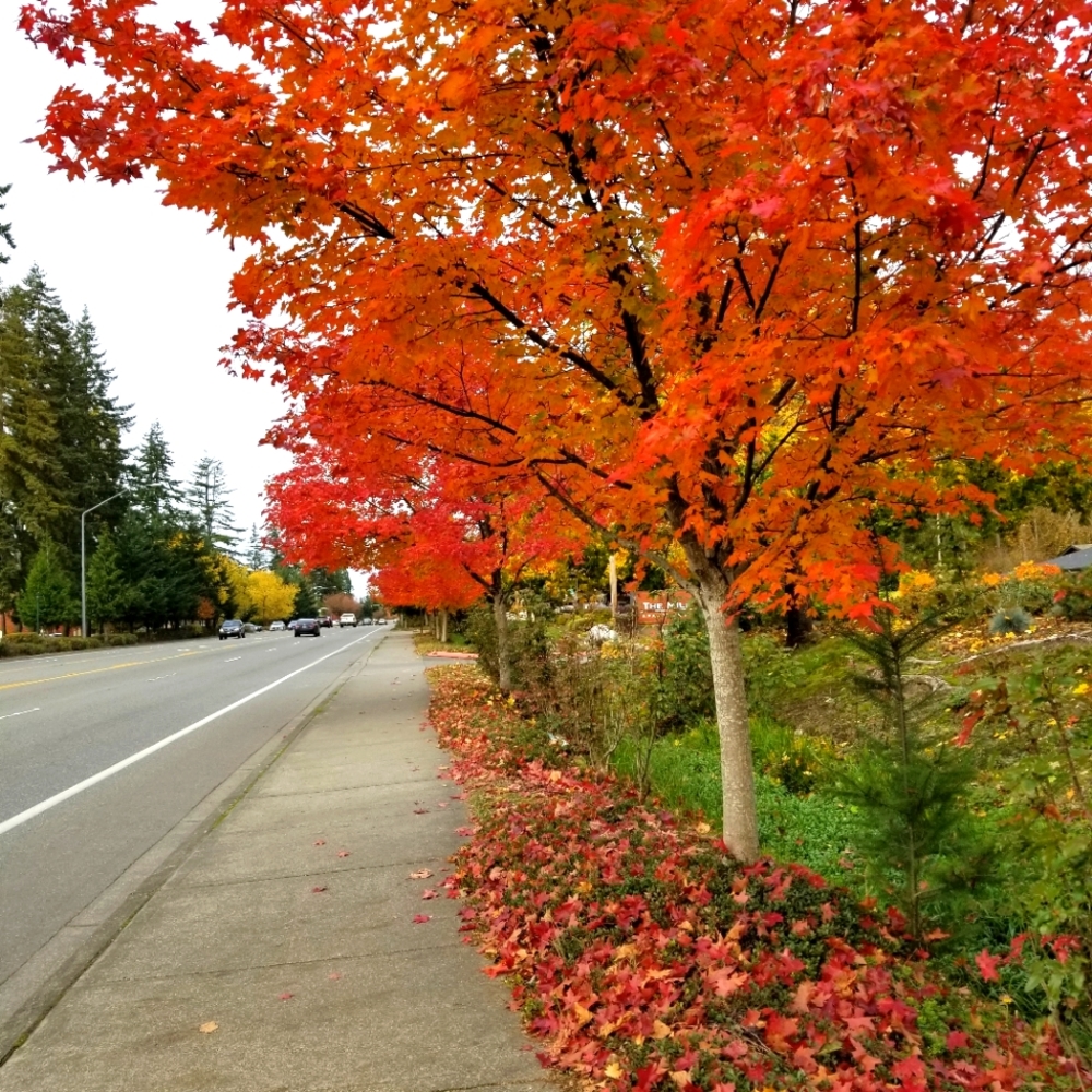 Meet your Posher, Judy